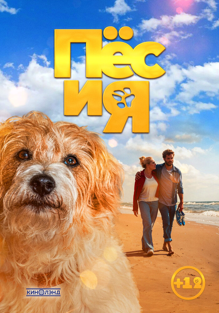 Hond & ik